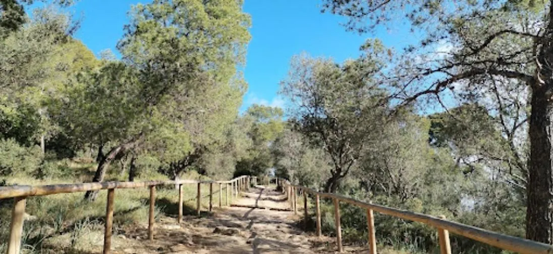 Villa Paloma Πάλμα ντε Μαγιόρκα Σπίτι διακοπών